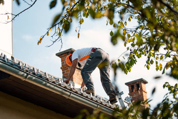 Best Flat Roof Repair Services  in Newnan, GA