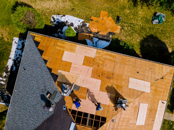 Trusted Newnan, GA Roofing Contractor Experts