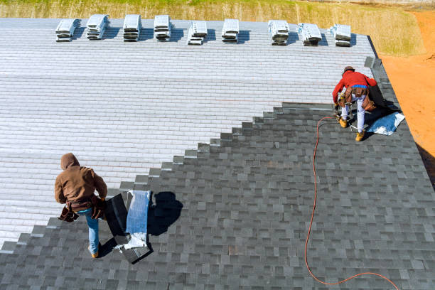 Best Roof Gutter Cleaning  in Newnan, GA