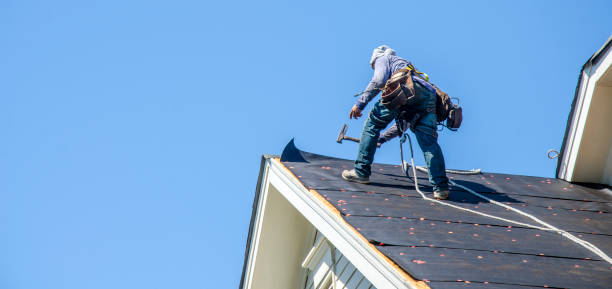 Best New Roof Installation  in Newnan, GA